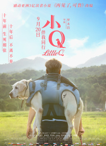 中文字幕a∨在线乱码免费看